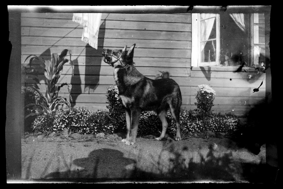 HS Filmer sida 1.28, 1905