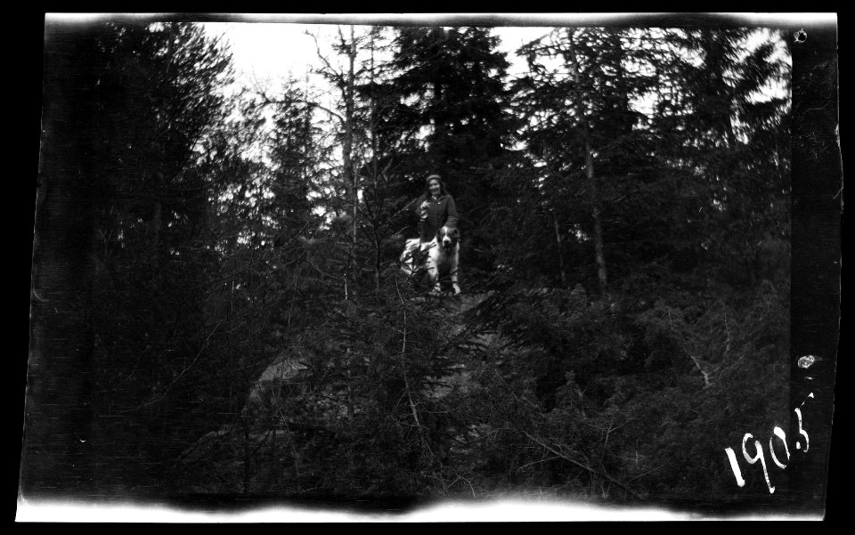 HS Filmer sida 2.53, 1905