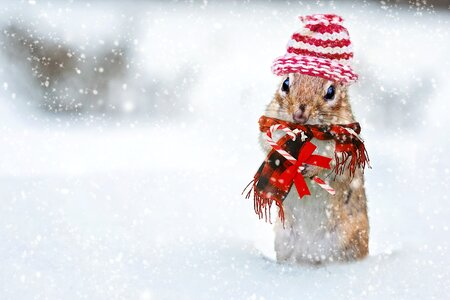 Red scarf bundled up