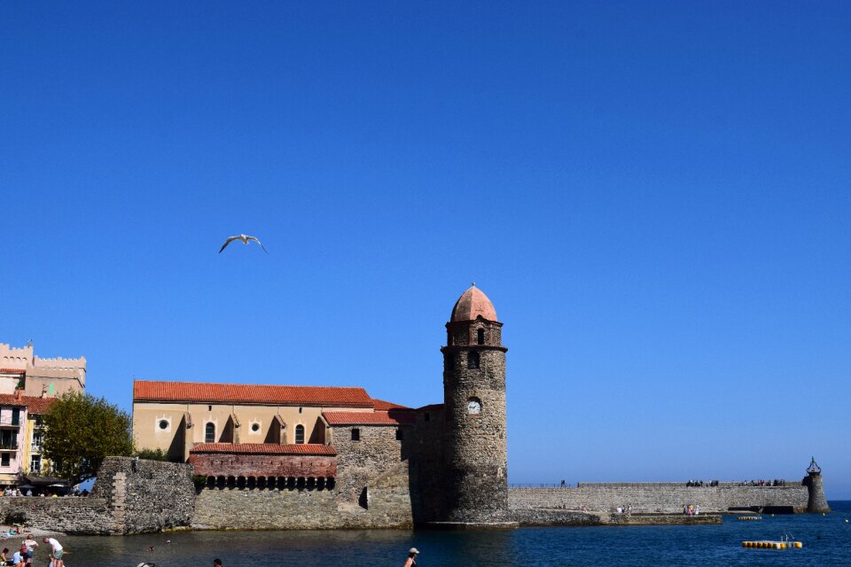 Sky seagull landscape