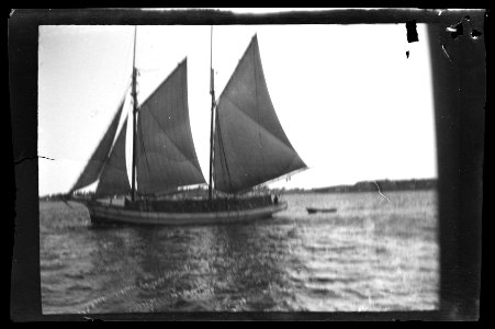 HS Båtar 33, 1905
