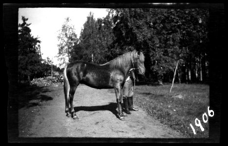 HS Familjeliv 1906 67, 1906