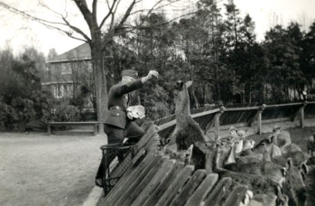 hertenkamp 1941 photo