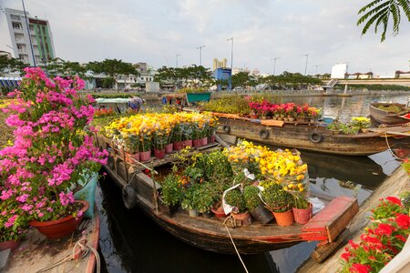 The city each ho chi minh