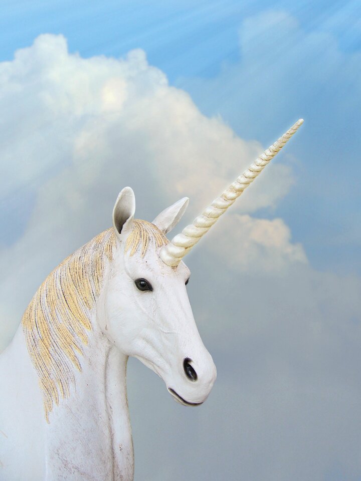 Animal magic fantasy horn