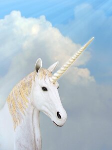 Animal magic fantasy horn