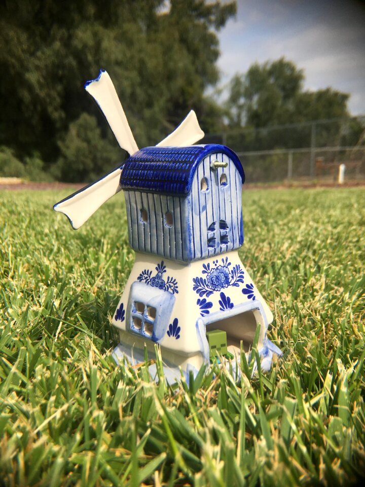 Grass outdoor perspective