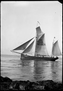 Loodskotter No. 11 'Texel IJmuiden'
