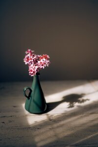 Vase display plant photo
