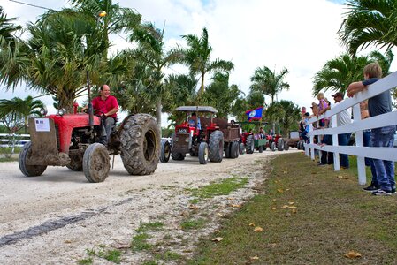 Antique celebration day