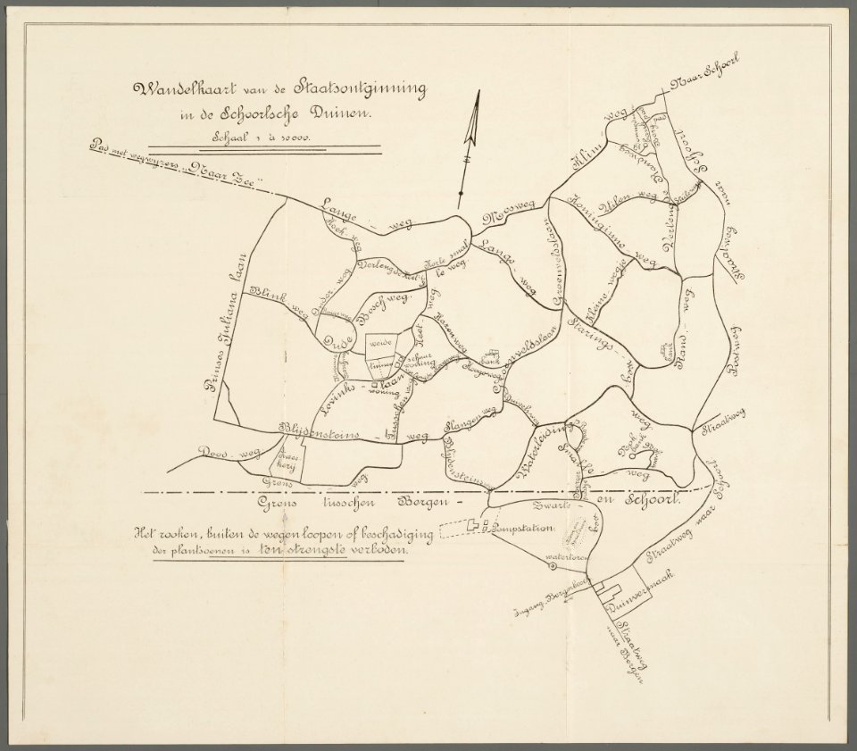 Schoorlse Duinen 1915