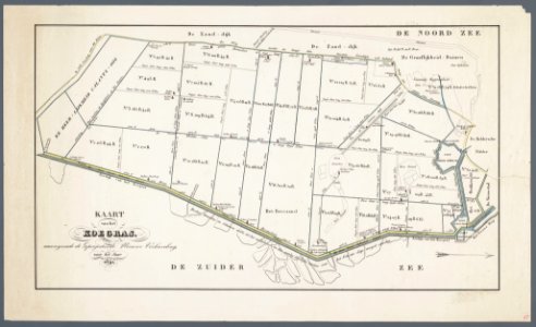Koegras 1841
