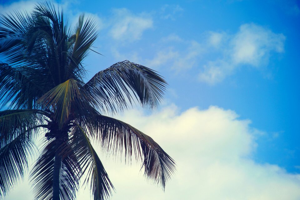 Summer sunshine clouds