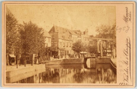 Mient ca1892