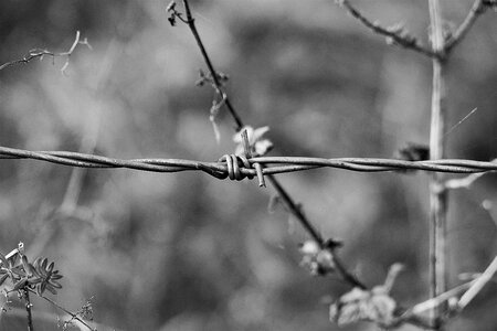 Wire metal fence photo