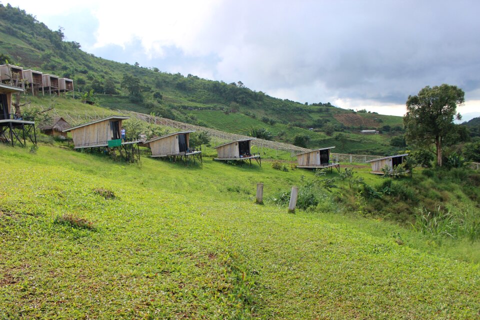 Green farm nature