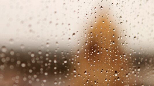 Drops wet brown rain photo