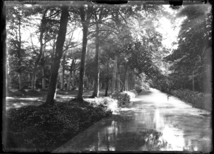 Hofvijver