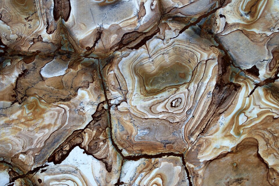 Stone shape texture