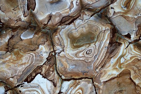Stone shape texture