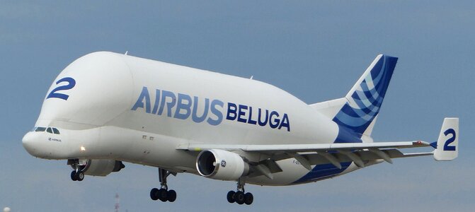 Cargo cargo plane flight
