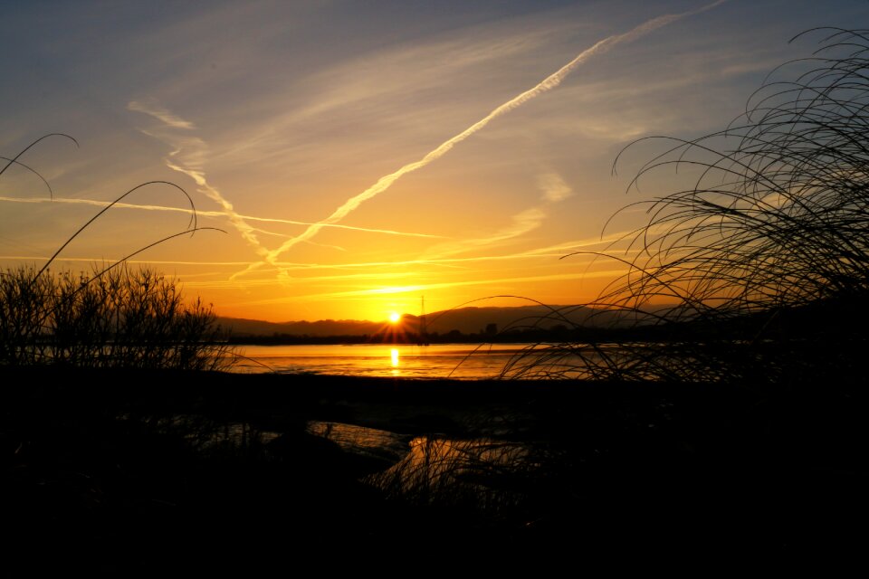 Nature body of water sun