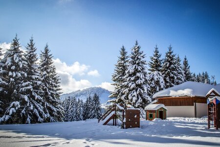 Snowy landscape white