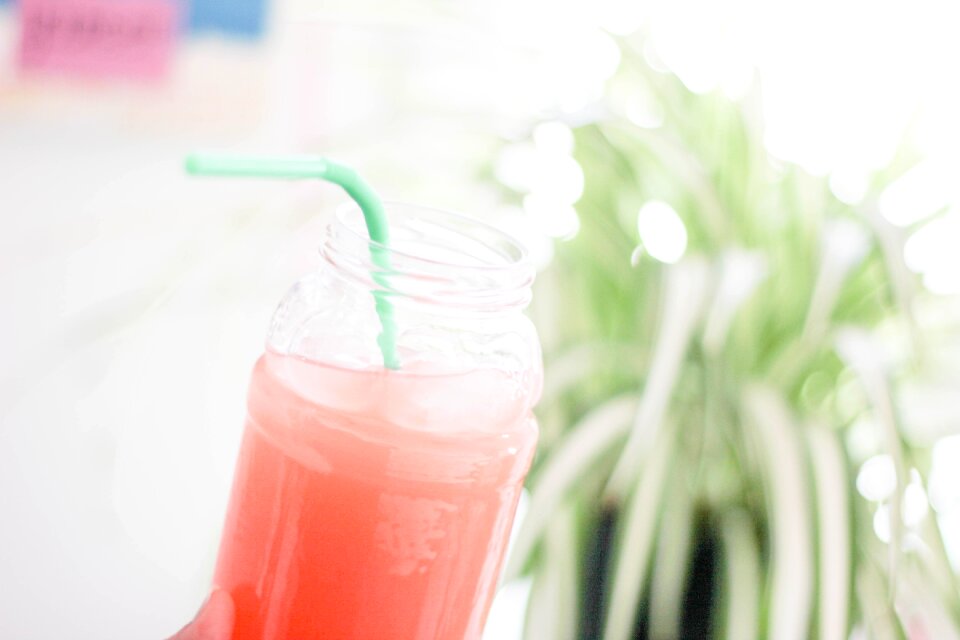 Beverage green plant