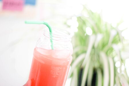 Beverage green plant