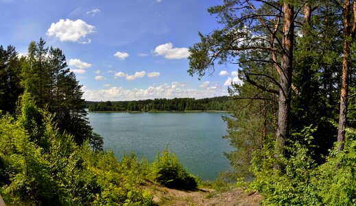 Tree landscape lake