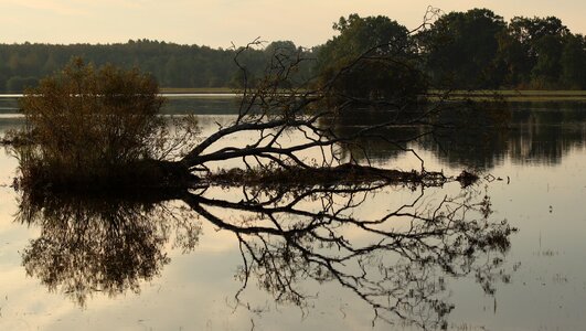 Landscape evening flood