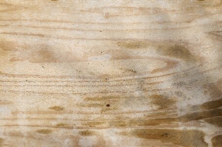 Veneered build plate wooden board