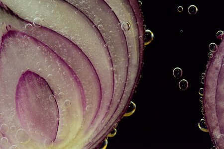 Antibacterial red allium cepa