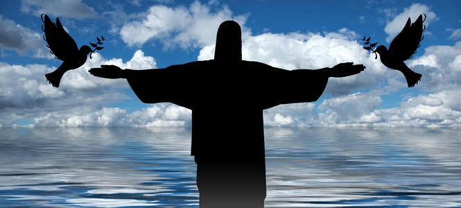 Sea pigeons redeemer