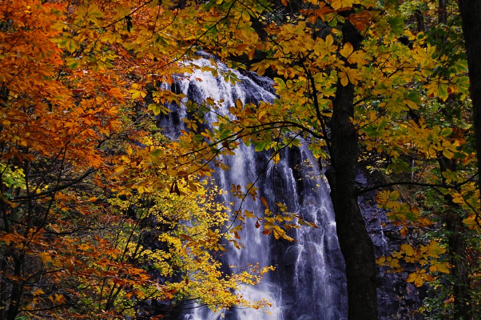 Waterfall autumn autumnal leaves