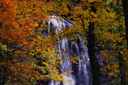 Waterfall autumn autumnal leaves