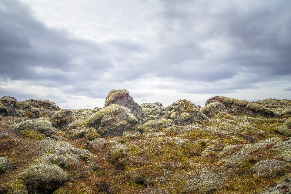 Nature stone forest photo