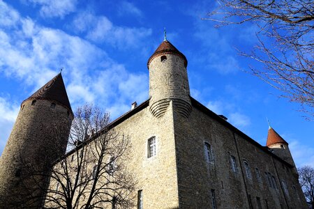 Tree church building
