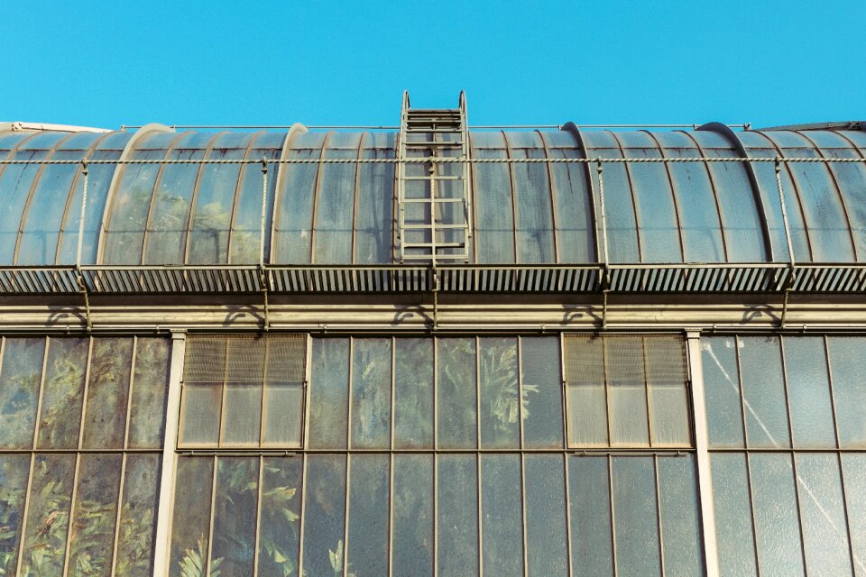 Plants industrial windows
