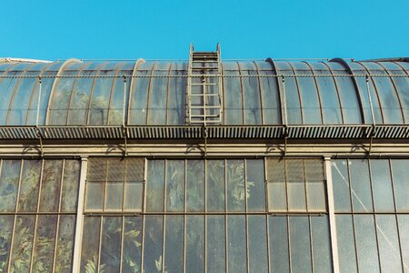 Plants industrial windows