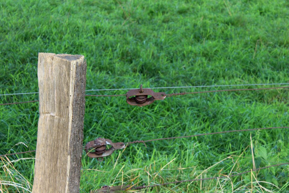 Pasture wire tensioner nature
