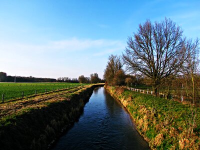 Meadow brook landscape