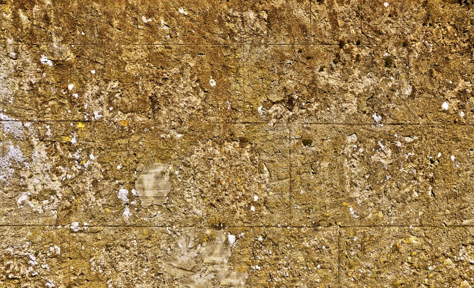Old weathered cracked