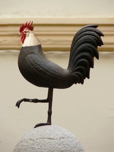 Metal animal gockel