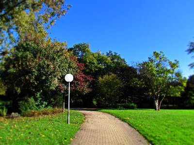 Lantern tree spacer
