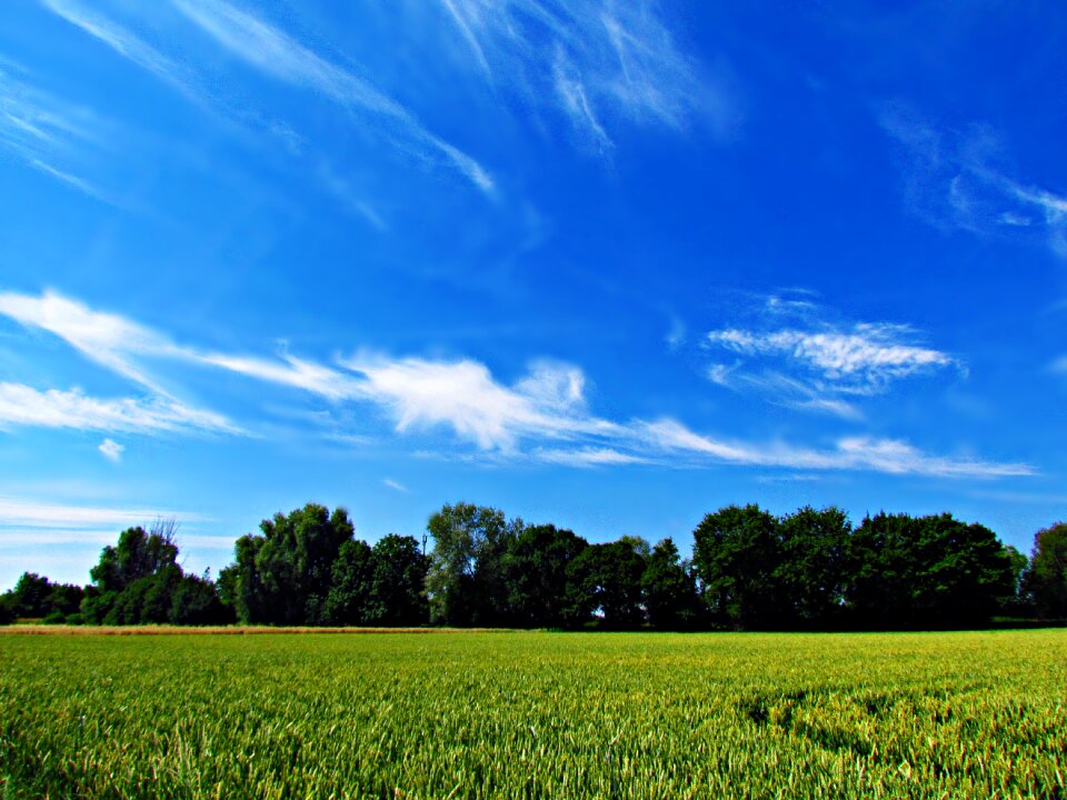 Blue nature beauty