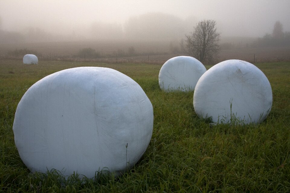 Outdoors landscape hayfield