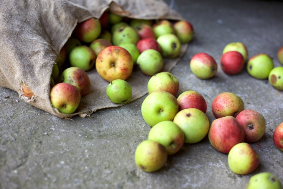 Garden bag of fruit food