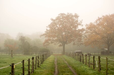 Landscape grass nature