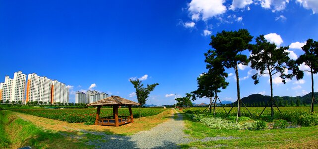 Panorama sky cloud
